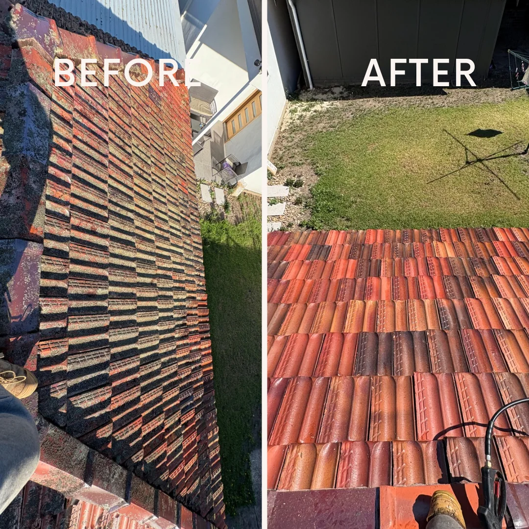 Genuine roof cleaning before and after