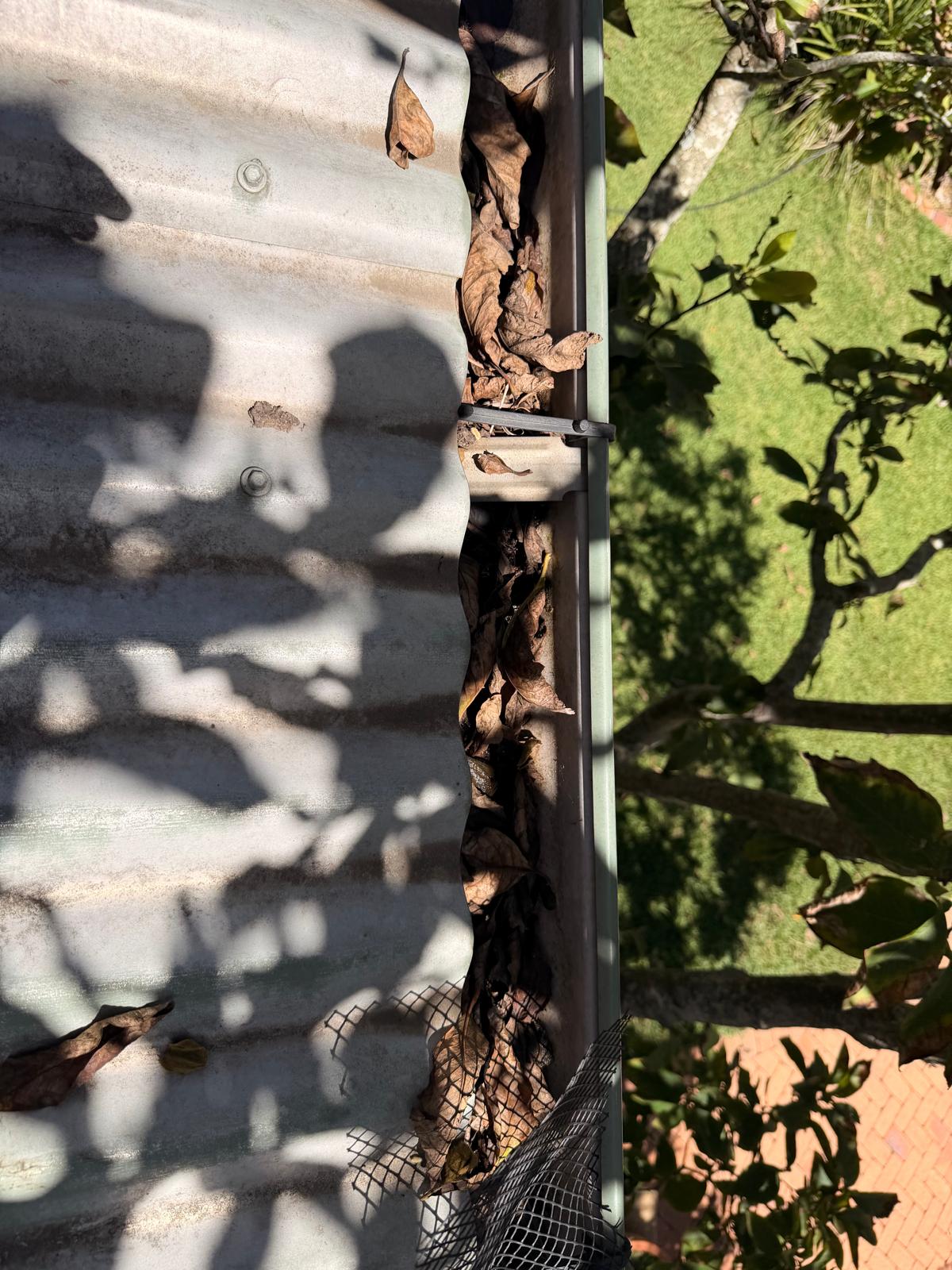 Gutters blocked with leaves before cleaning