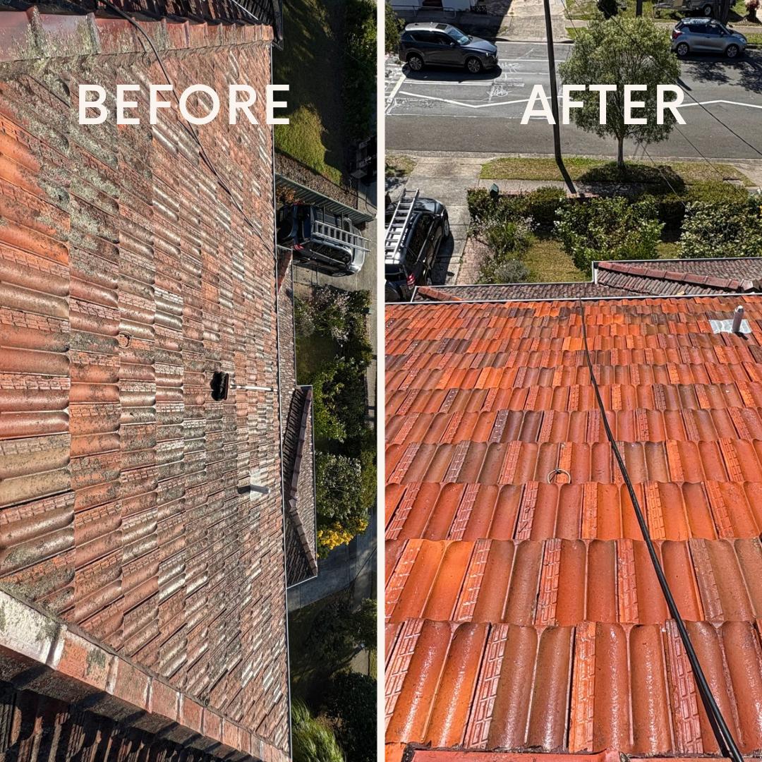 Terracotta roof tiles cleaned before and after Sydney
